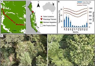 Climate Change Affects Reproductive Phenology in Lianas of Australia’s Wet Tropics
